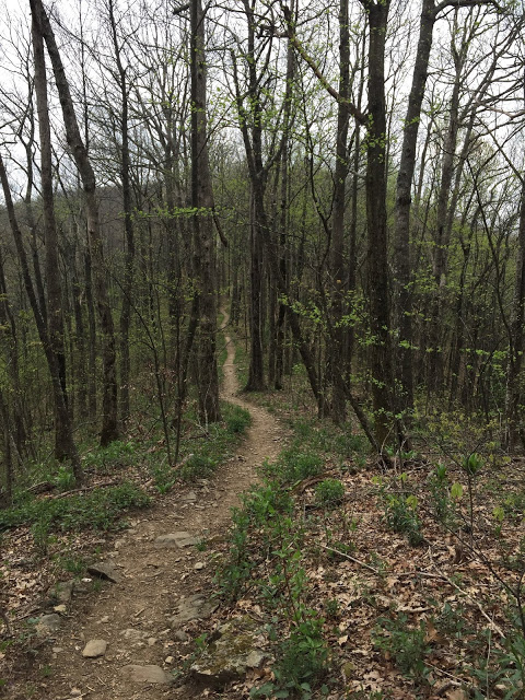 path on the Appalachian Trail