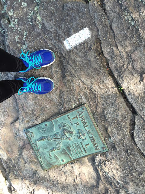 The Appalachian Trail plaque in Georgia on top of Springer Mountain