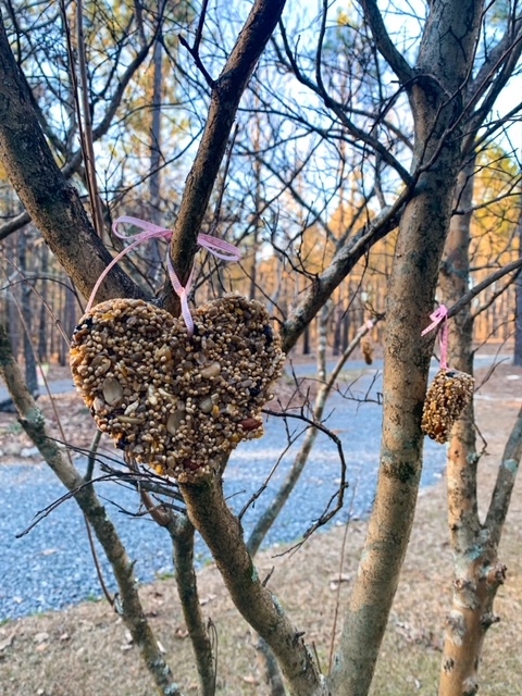 Valentine's Day bird seed ornaments