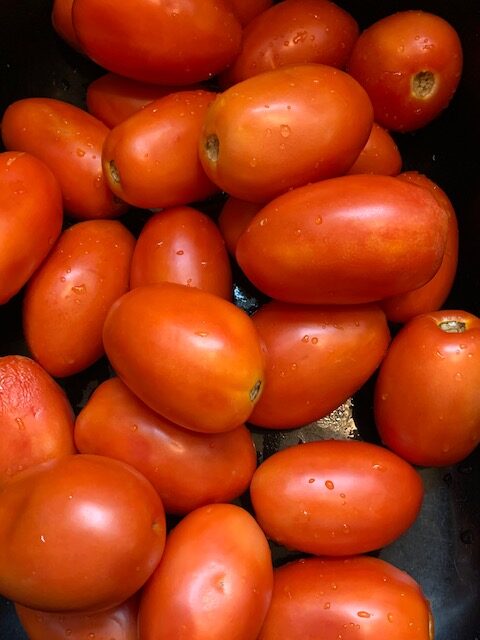 Roma tomatoes are paste tomatoes and great choice for tomato sauce