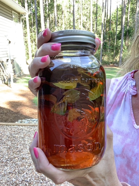 sun powered peppermint tea