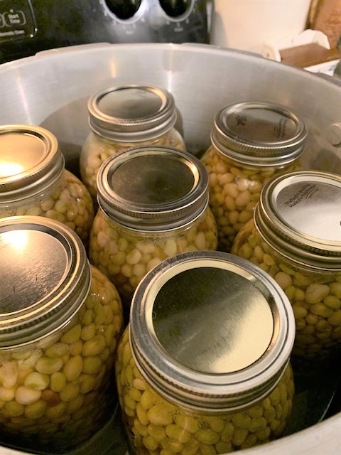 pressure canned peas