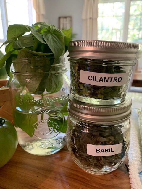 drying garden herbs