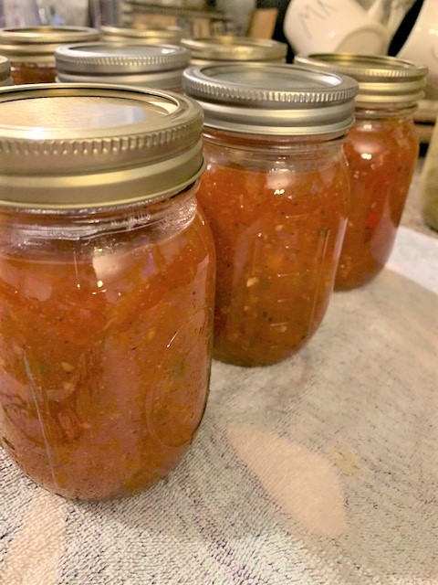 canned homemade salsa ready for the pantry