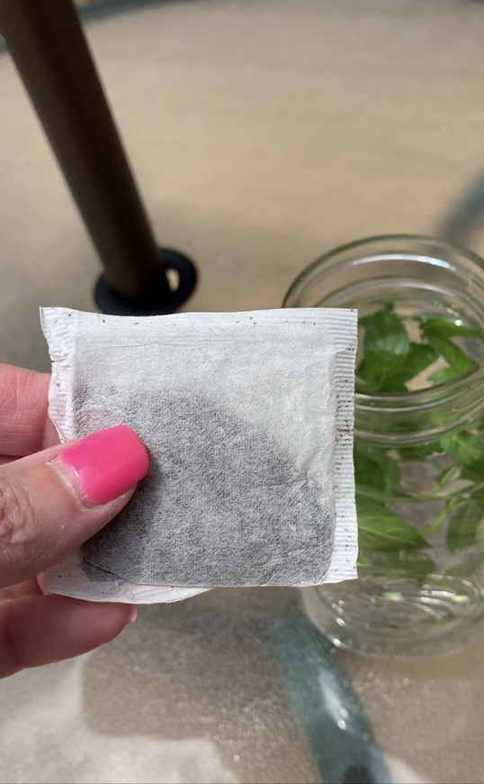 add tea bags to a jar of water for sun powered tea