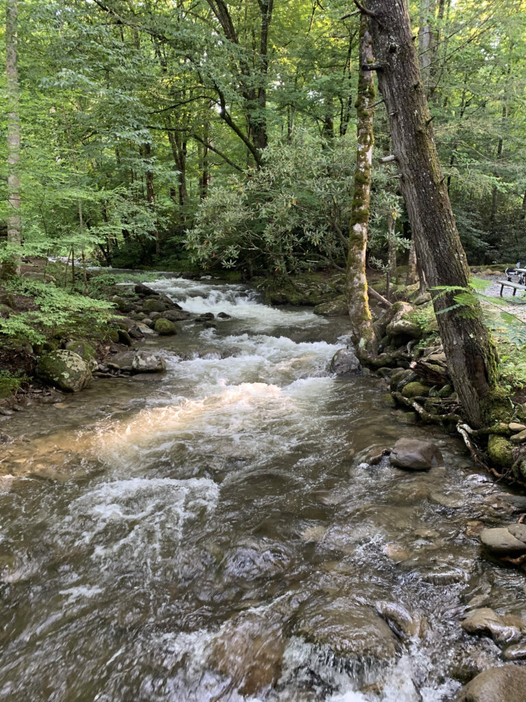 a mountain creek running through Roamstead campground