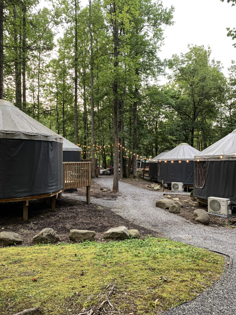 yurts for glamping at Roamstead campground